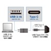Sanwa Supply AD-USB29CFA USB 3.1 A-Type C Female Converter Adapter,