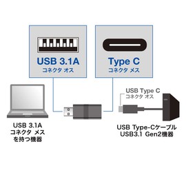 Sanwa Supply AD-USB29CFA USB 3.1 A-Type C Female Converter Adapter, Black