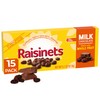 Raisinets, Milk Chocolate Covered California Raisins, Movie Theater Candy Box,