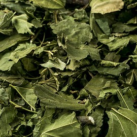 See detailed explanation 600g dried domestic mulberry leaves (mulberry leaves) dried tea / 국산 뽕잎(상엽) 600g 건조 건 말린 차