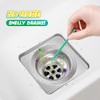 L-Wash Bio-Flow Drain Strips - 24 Strips | Drain Cleaner