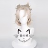 Haragami Genshin Albedo Cosplay Wig, Anime, Heat Resistant, Costume, Accessory