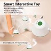 Cat Toys, Cat Toys for Indoor Cats Interactive with LED