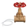 CocinaCo Vintage Steampunk 1/2 Inch Red Handle Stop Valve Light