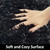Small Fluffy Rugs for Bedroom 2x3 Black Shaggy Area Rug