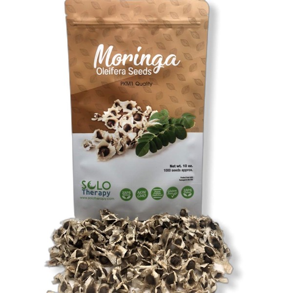 Organic Moringa Seeds | 1000 Seeds Approx.| Premium Quality | PKM1 Variety | Edible | Planting | Moringa Oleifera| Malunggay | Semillas De Moringa | Drumstick Tree | Non-GMO | Product from India