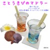 Okinawa Prefecture Raw Sugar Cane Edible 14.1 oz (400 g)
