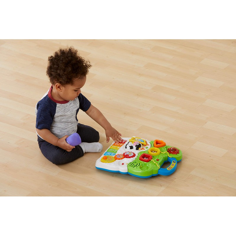 VTech Sit-to-Stand Learning Walker