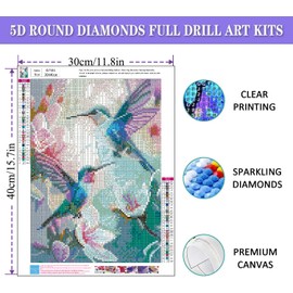 Hummingbird Diamond Art Kits for Adults, Birds Round Full Drill Diamond Painting Kits for Adults Beginners Gem Art Painting Kit, DIY Diamond Dots Painting with Diamond Arts and Crafts Decor 12x16 inch