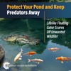 Outdoor Water Solutions Floating Alligator | Predator Deterrent | Pond