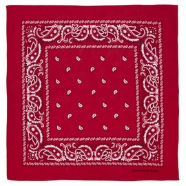 Large 100% Cotton Paisley Bandanas (22 inch x 22 inch) - Red Dozen Packed 22x22 - Use For Handkerchief, Headband, Cowboy Party, Wristband, Head Scarf - Double Sided Print
