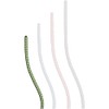 Salewa Master Cord 6Mm Precut, Green/Blue, 30, Unisex