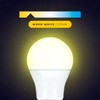 Maxim LED GLS Bayonet Cap (Warm White) - 16watt (100watt)