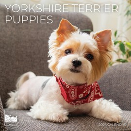 Yorkshire Puppy 2026 Wall Calendar | 12" x 24" Open | Dog Calendar Photography Thick & Sturdy Paper for Planning | Office Kitchen Decor or Gift | Pacific Waters Press (Yorkshire Terrier Puppies)