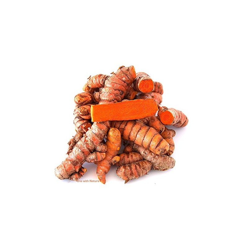 Fresh Wild Turmeric from Fiji by NINESHANI 1LB (4)
