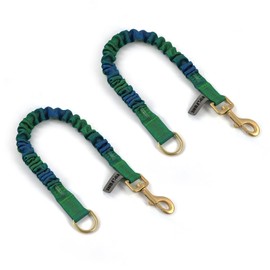Wolfone Shock Absorber Reflective Threads Bungee Dog Leash for Running，Trainning，Recall 2-Pack Blue-Green Gradient