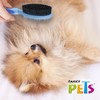 Fancy Pets Cepillo Doble Grande para Perro con Cerdas y