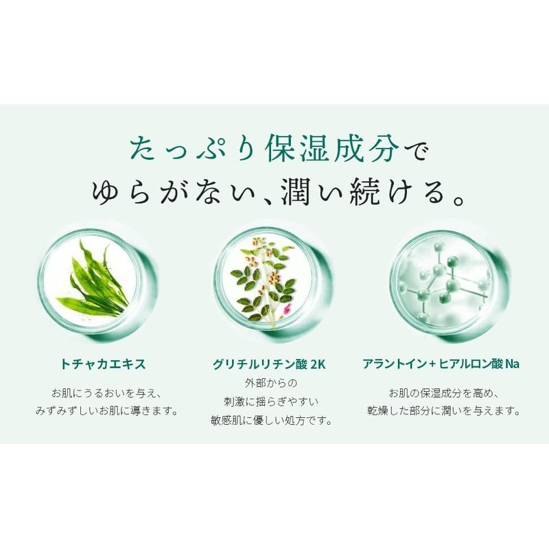 Face Mask, DR PLANT CICA Blend, Soft Hot Leaf Sheets
