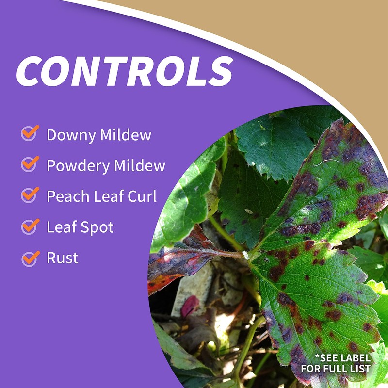 Bonide Captain Jack's Copper Fungicide, 32 oz Ready-to-Spray Disease Control