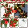 Lyrow 18 ft 3 Pcs Lighted Christmas Garland with Red