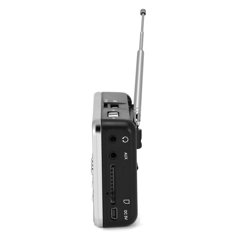 Portable Digital Audio Player HiFi Music Speaker Support FM Radio