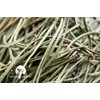 Pine Needle Herbal Tea | Wild-Harvested | 1 oz (30g)