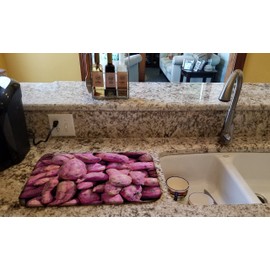 Caroline's Treasures GAK1025DDM Dish Drying Mat Absorbent Dish Drying Mat Pad for Kitchen Counter Dish Drainer Mat for Countertop, 14 x 21", Multicolor