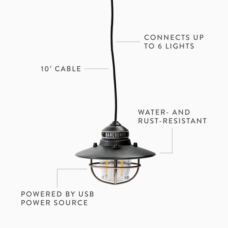 Barebones Living LED Edison Pendant Light