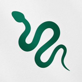 Decal Stickers of Reptile Snake Serpent Icon (Green) (Set of 2) Premium Waterproof Vinyl Decal Stickers for Laptop Smartphone Car Dirt Bike Wall Room Mason Jar Bathtub Door - ANDstic877026GR