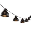 SAFAVIEH Lighting Collection Claudie Black 10-Foot LED Outdoor String Lights