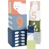 Small Foot Arctic 12441 Stacking Cube Motor Skills Toy for