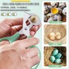 Quail Cutter, Set of 2, Quail Egg Scissors, Bird Egg