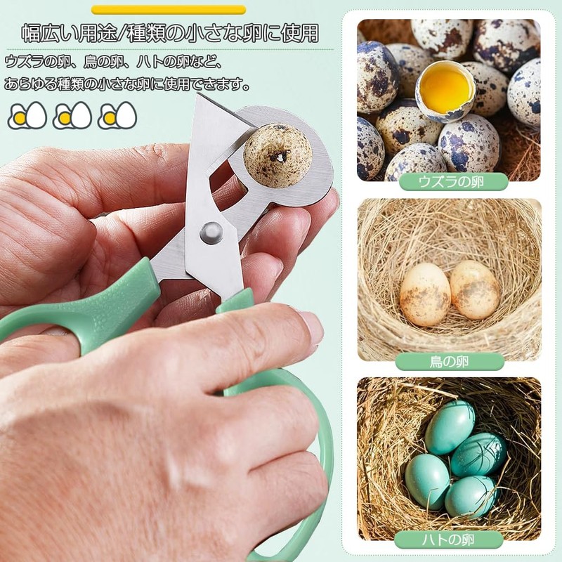Quail Cutter, Set of 2, Quail Egg Scissors, Bird Egg