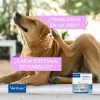 Megaderm Ácidos Grasos Esenciales Y Vitamina E 28 Sobres 4ml