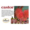Aceite Capilar Difeel Pro-growth Castor 210 Ml 99% Natural P