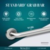 WingIts WGB6SS24 STANDARD Grab Bar, Concealed Mount, Satin Stainless Steel,