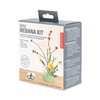 Kikkerland DIY Japanese Flower Arrangement, Mini Ikebana Kit Project, Ceramic