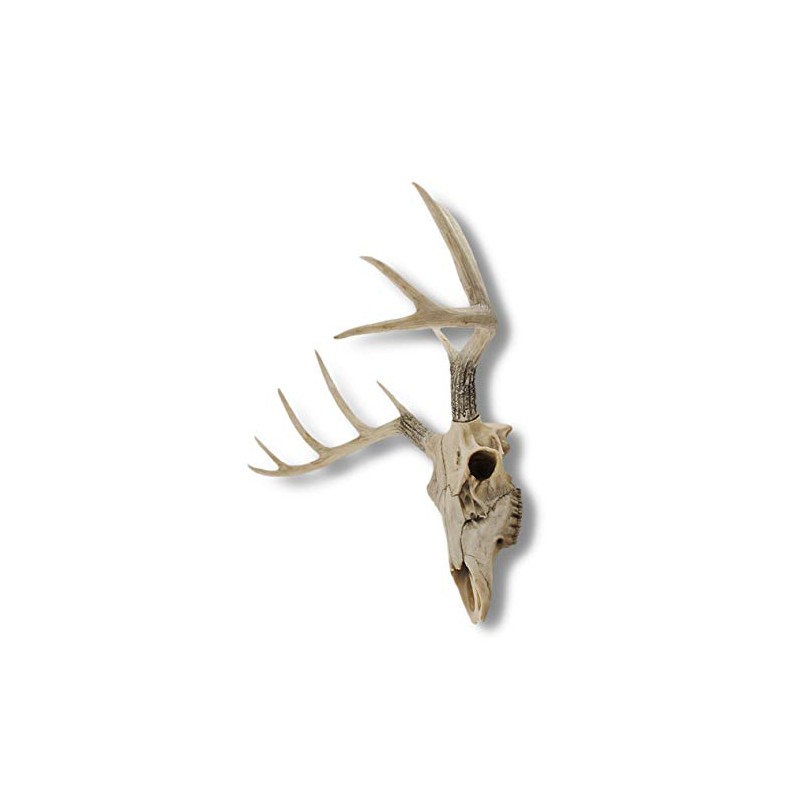 Things2Die4 Lifelike 10-Point Buck Deer Skull Replica - Exquisite Wall