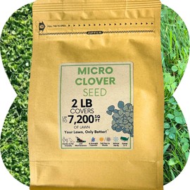 Flawn Seed Kits 2 Lbs Micro Clover Seed, Organic Coated, Eco-Friendly, Low Growing, Low Maintenance, Lawn Alternative, Kraft Zipper Pouch, Covers up to 7200 Sqft