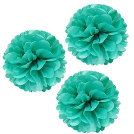 Allydrew 14" Set of 3 Tissue Pom Poms Party Decorations for Weddings, Birthday Parties Baby Showers and Nursery Décor, Aqua
