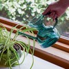 Modern Sprout Handcrafted Borosilicate Glass Watering Can, Long Spout for