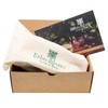 Erbecedario Body Brush with Tampico Natural Bristles for Dry Brushing