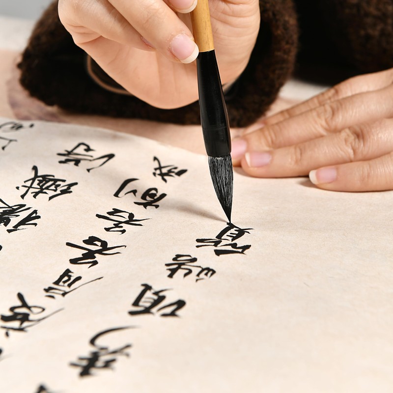 Hmayart MB888 Quality Featured Brush for Traditional Chinese Painting &