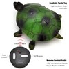 Tipmant RC Turtle IR Remote Control Tortoise Crawl Fake Electric
