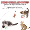 Speedy Panther 21 Pack Cat Toys Set for Indoor Cats,
