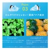 LuLuLun Premium Cooling Mask, 1 Piece x 5 Bags, Face