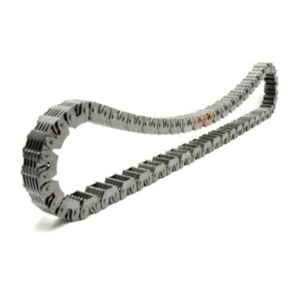 BorgWarner Chain; 46 Links .750" Wide; 2 Copper Guide Links