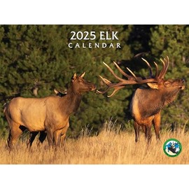2025 Elk Calendar