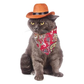 Gesuche Gesuche 2 Pieces Pet Western Cowboy Costume Set,Adorable Cat and Dog Western Cowboy Hat with Adjustable Elastic Chin Strap and Bandana, for Puppy Kitten Party Cosplay Daily Wearing (Small)