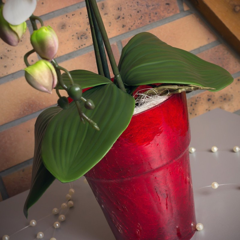 Polnix Flower Pot Round Orchid Pot Orchid Diameter 130 mm